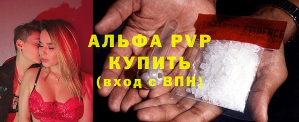 спайс Дмитриев