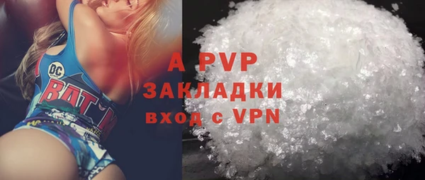 прущие грибы Дмитров