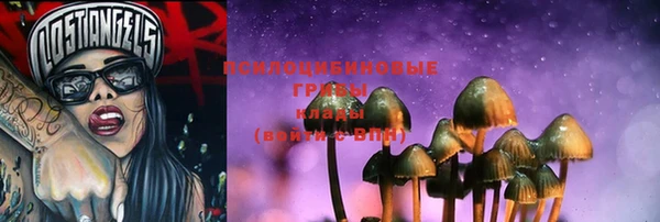 прущие грибы Дмитров