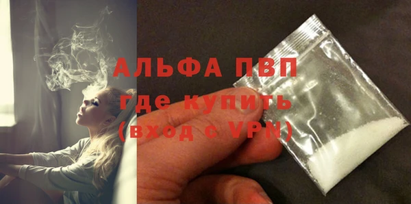 прущие грибы Дмитров