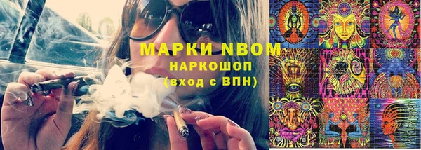 прущие грибы Дмитров
