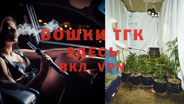 спайс Дмитриев