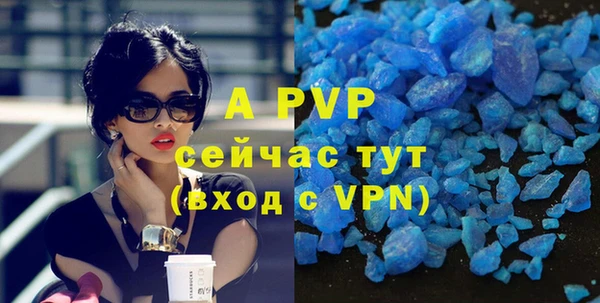 спайс Дмитриев