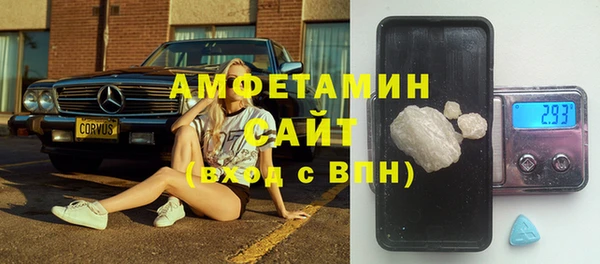 прущие грибы Дмитров