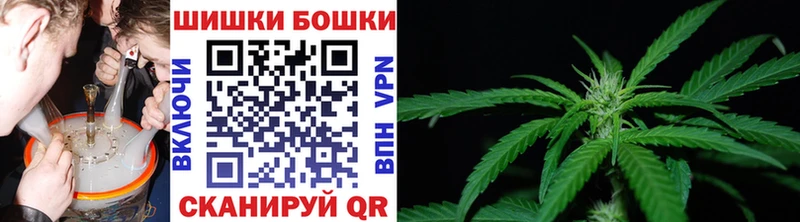 Купить  Агрыз  Бошки Шишки Ganja 